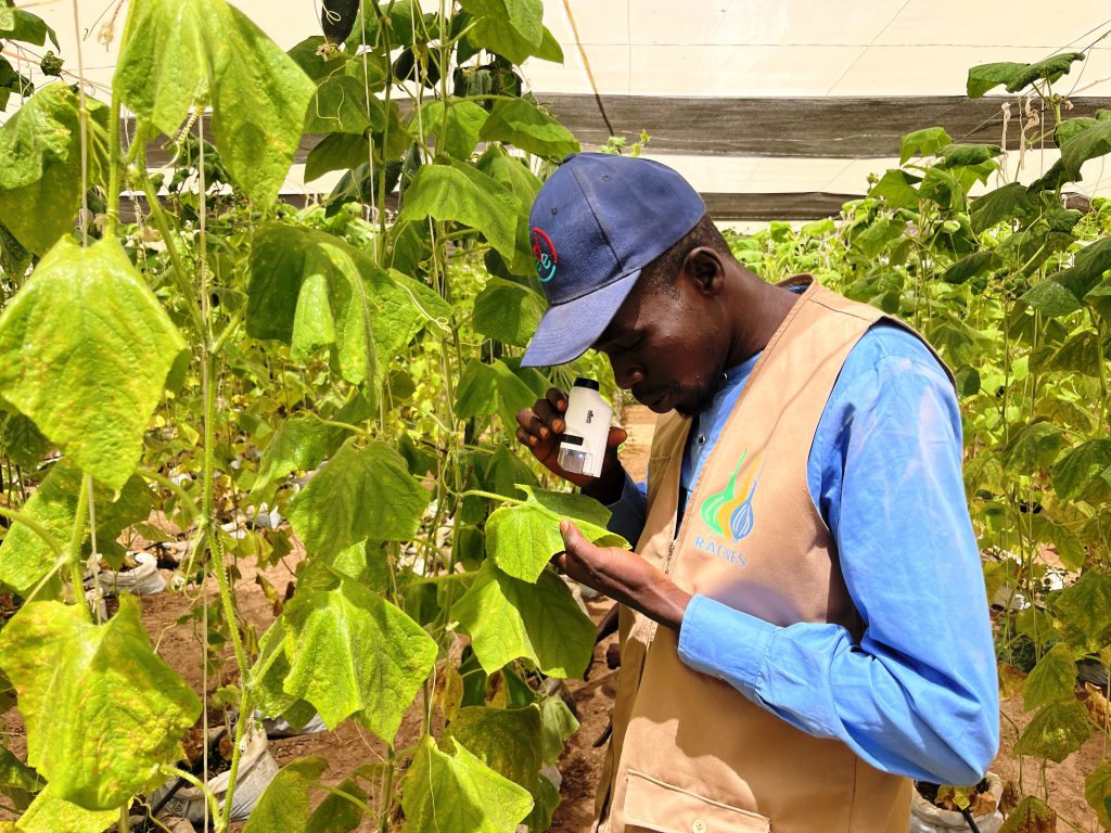 RACINES renforce la confiance dans le bio local à travers une visite de certification à Tassette