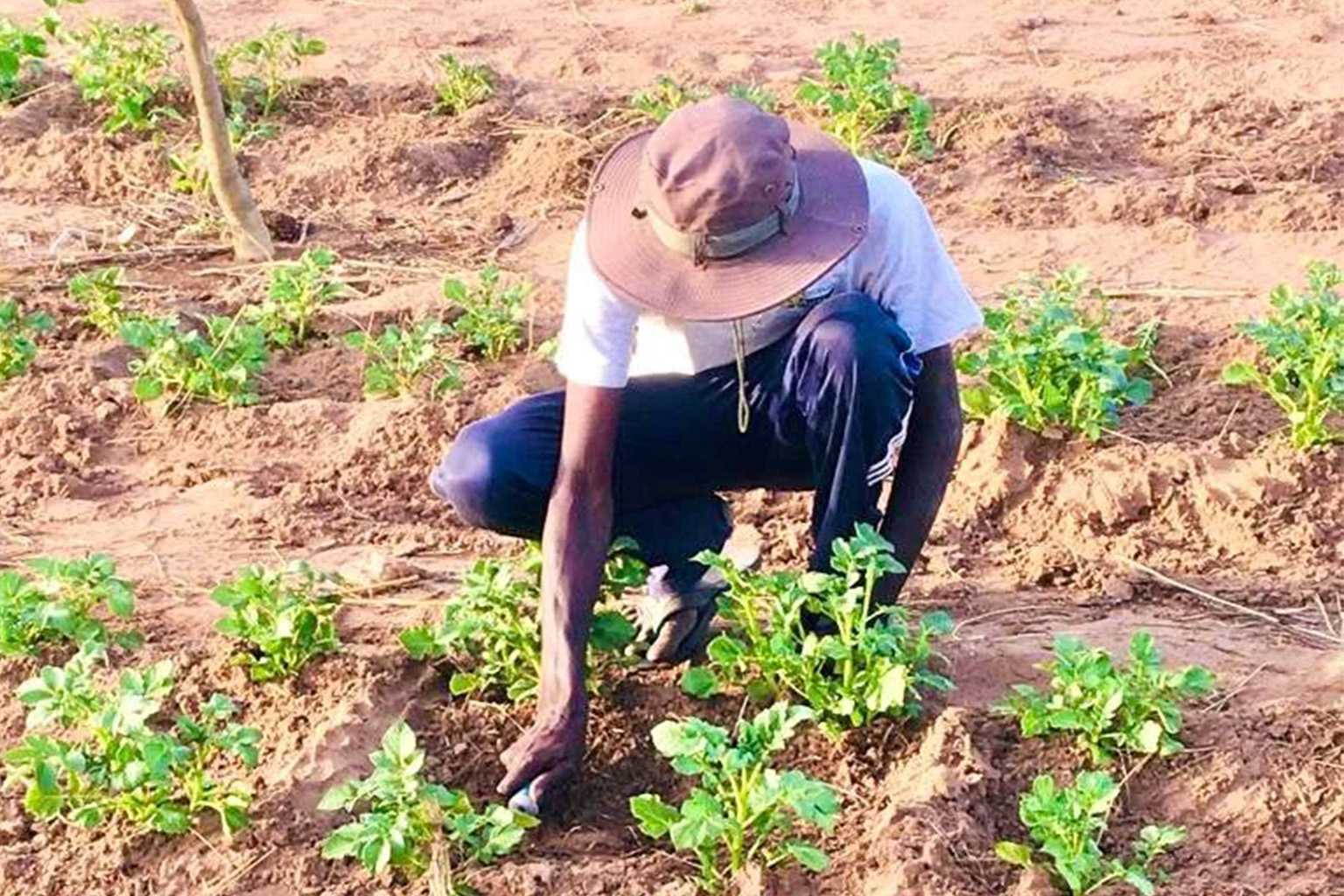 Lire la suite à propos de l’article Un jeune entrepreneur engagé pour l’agroécologie : la ferme Laudato Si Agro labellisée par Racines